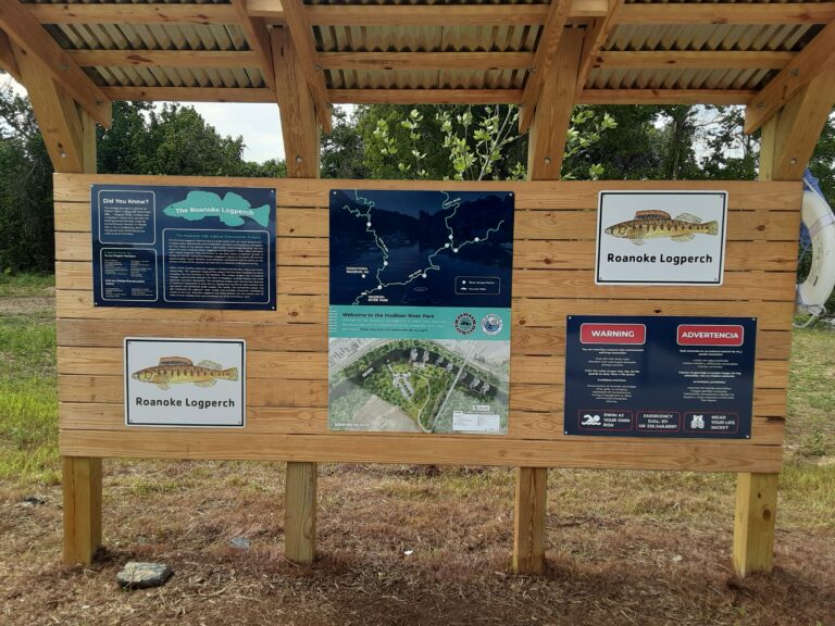 20210707 153748 768x576