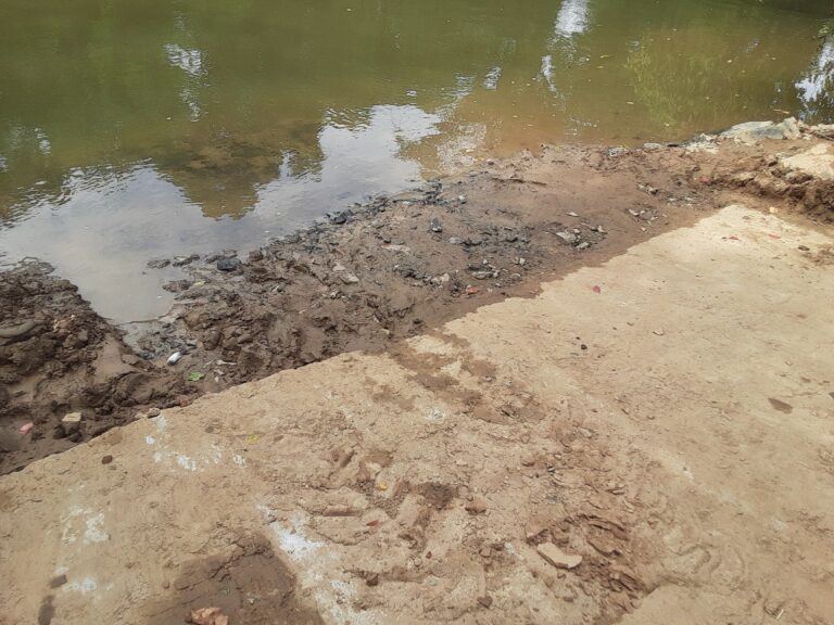 20210707 154207 768x576