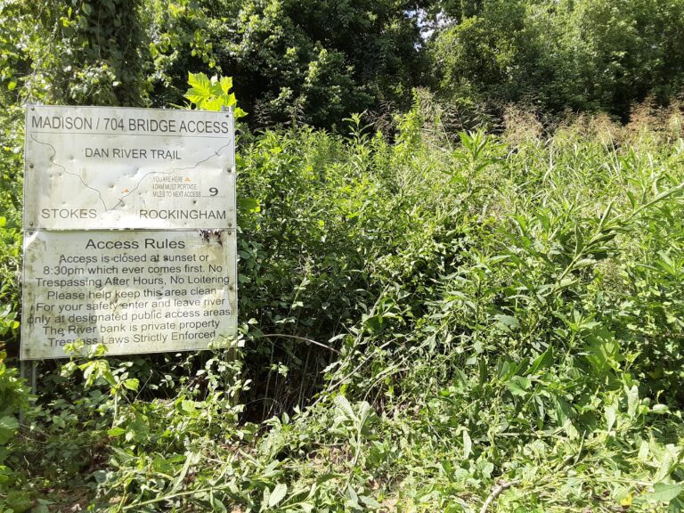 20210712 105009 768x576