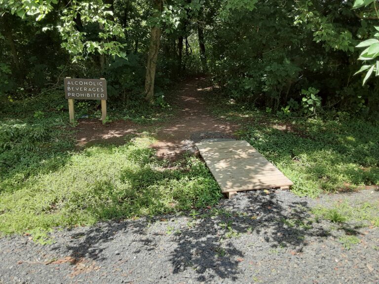 20210712 113600 768x576