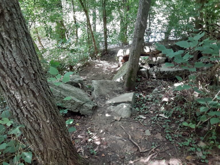 20210712 113625 768x576