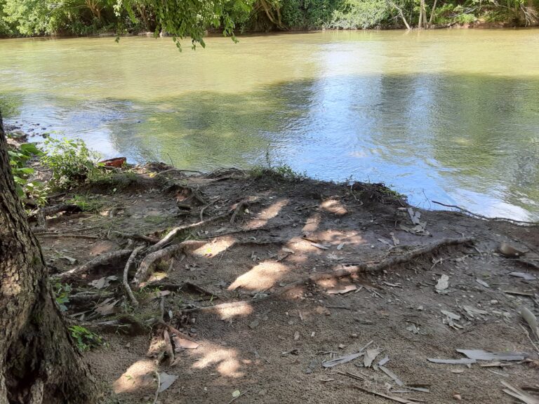 20210712 113649 768x576