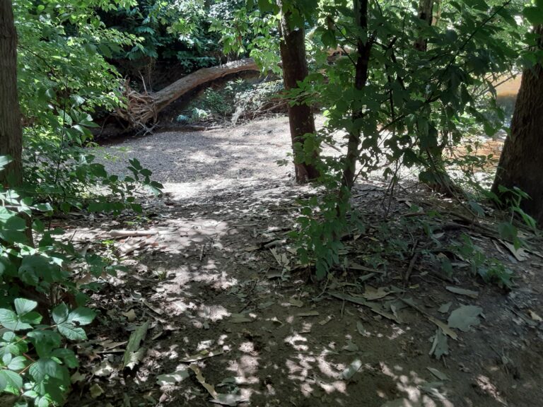 20210712 113758 768x576