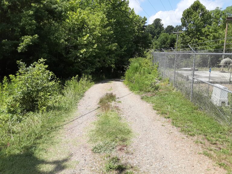 20210712 121423 768x576