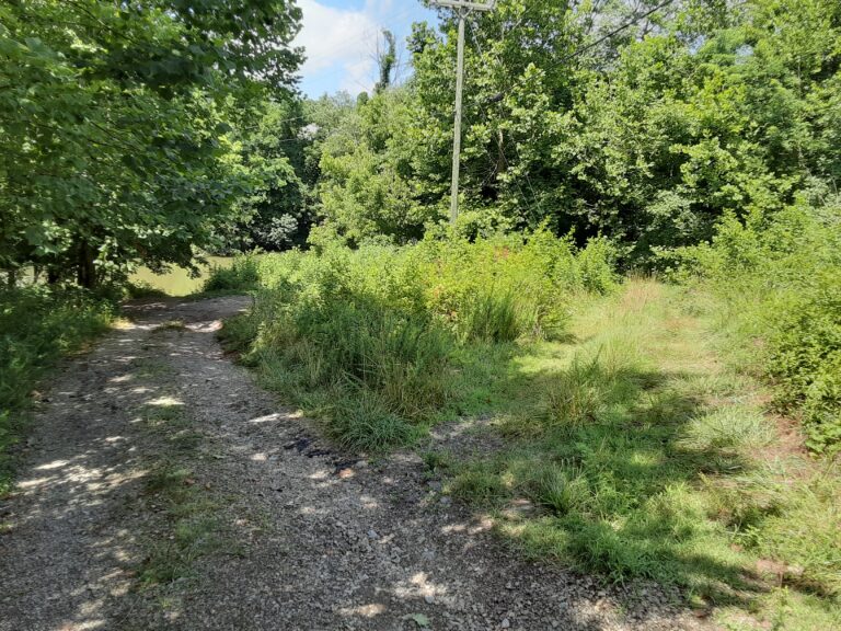 20210712 121447 768x576