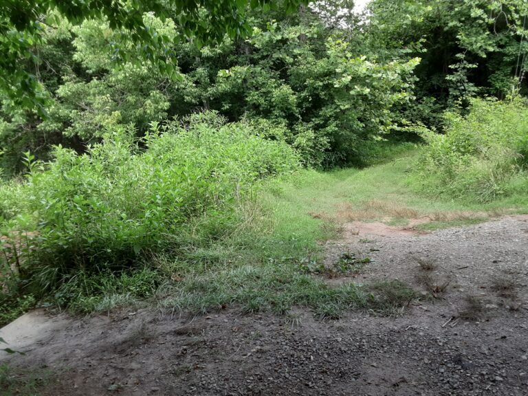 20210712 121729 768x576