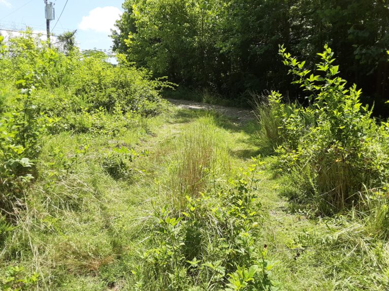 20210712 121849 768x576