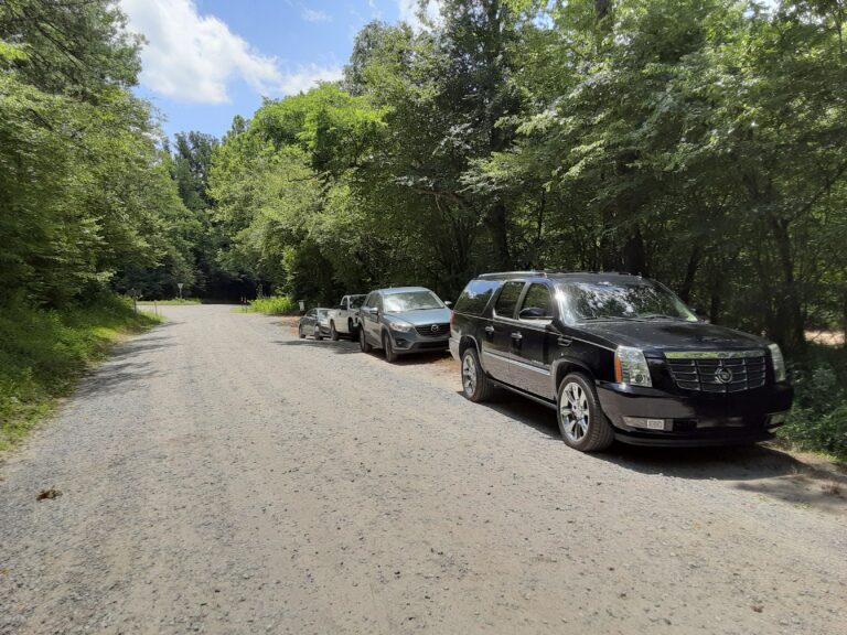 20210712 130219 768x576