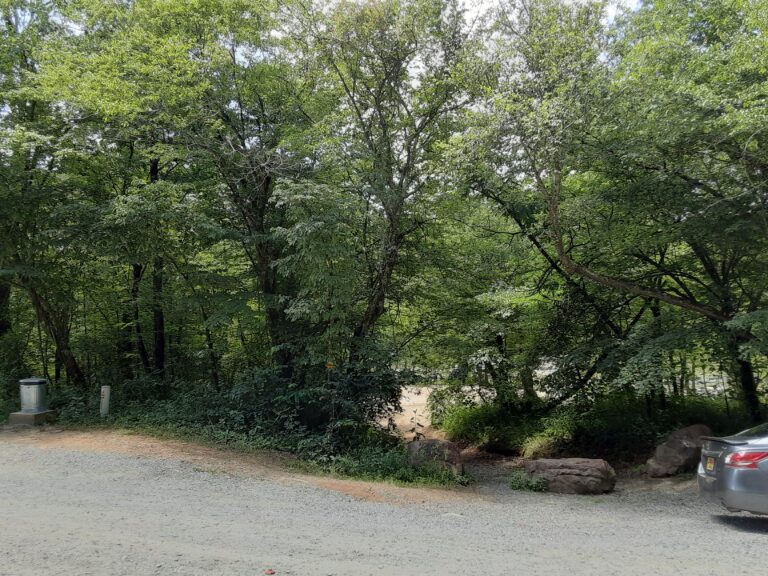 20210712 130250 768x576