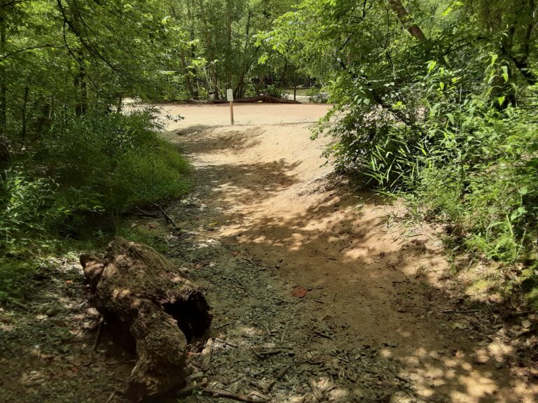 20210712 130319 768x576