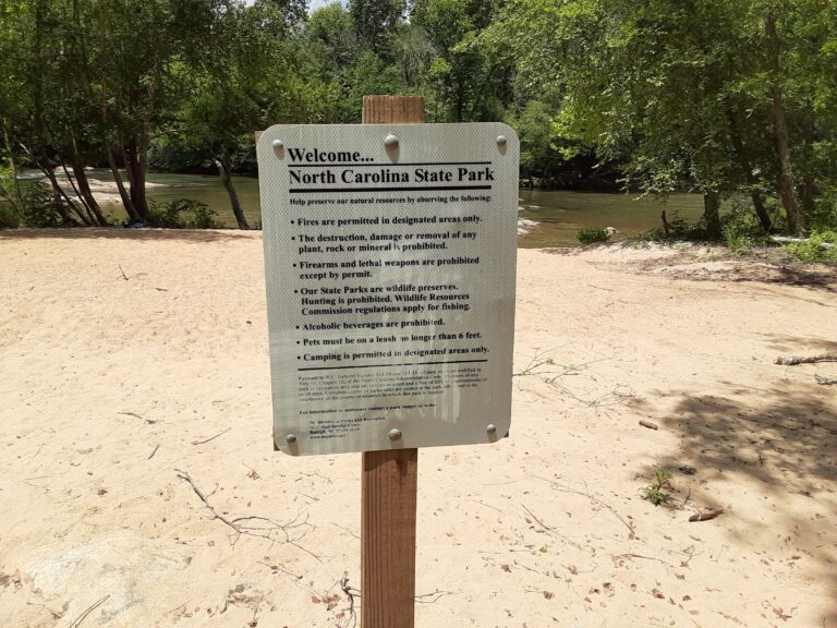 20210712 130338 768x576