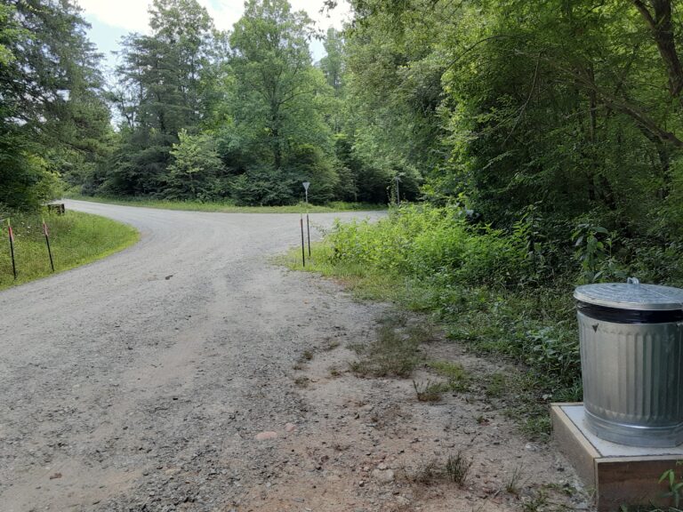 20210712 130505 768x576