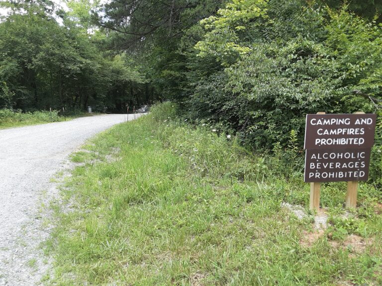 20210712 130605 768x576