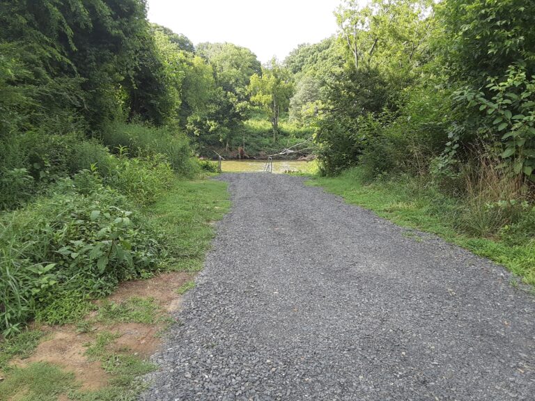 20210712 172930 768x576