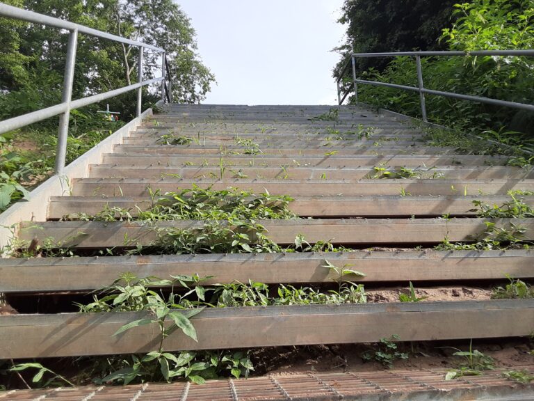 20210712 173034 768x576