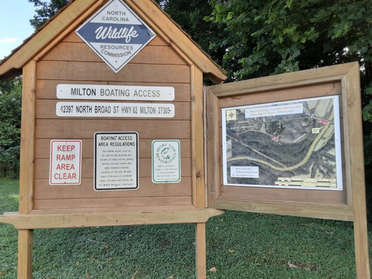 20210713 182922 768x576