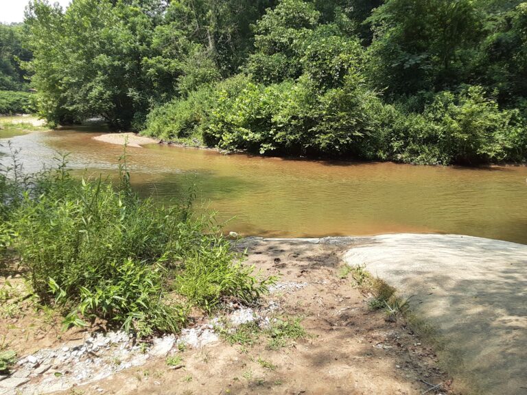 20210720 131955 768x576