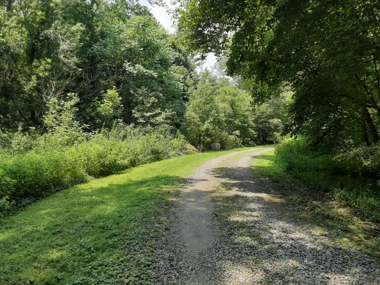 20210720 132224 768x576