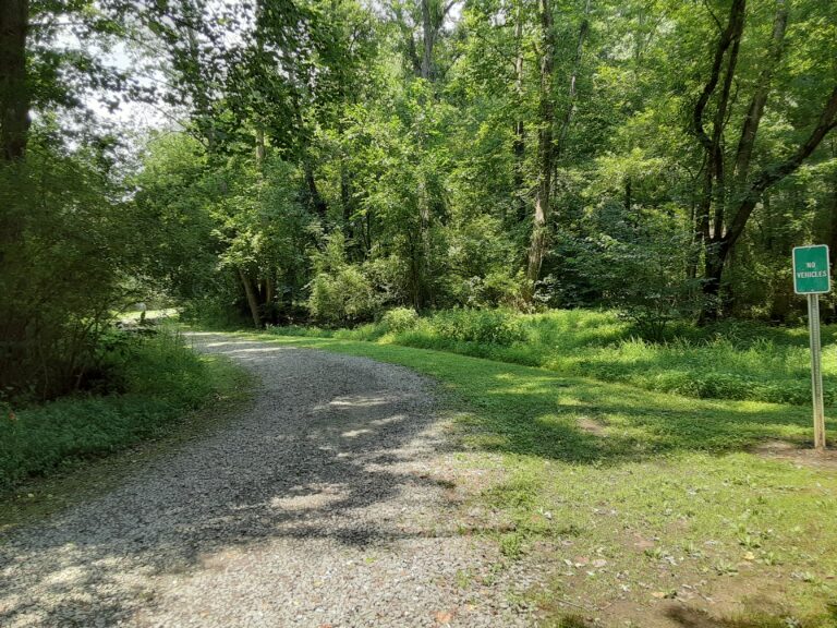 20210720 132302 768x576