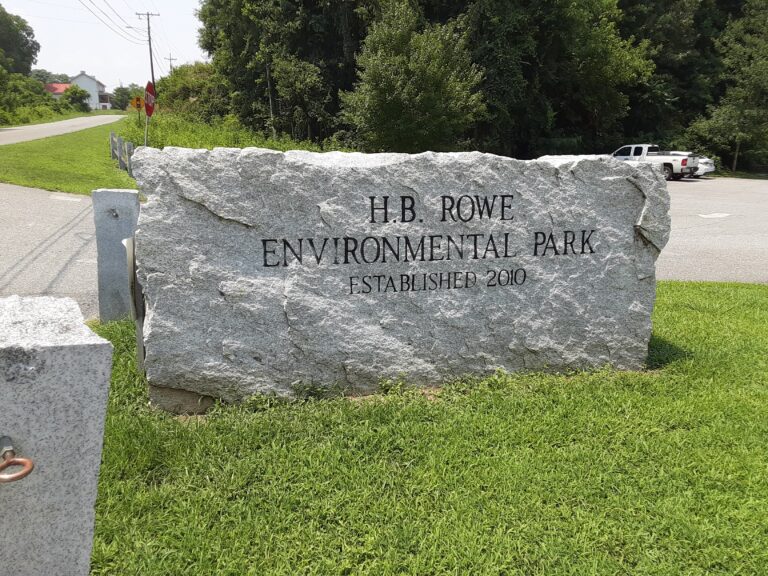 20210720 132653 768x576