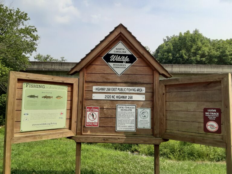 20210720 160438 768x576