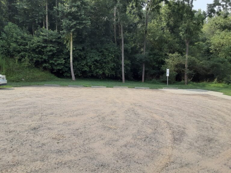 20210720 160443 768x576