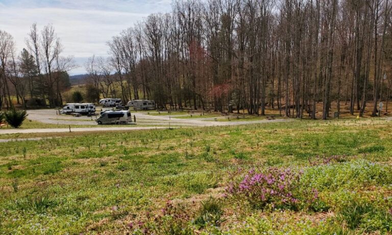 Byrds Branch Campground 768x461