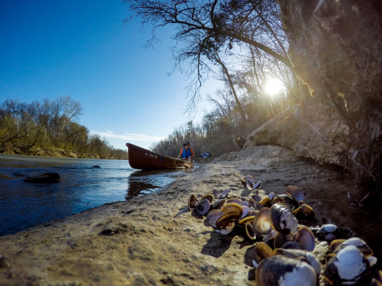 CaryKanoy Clamshells Yadkin GoPro Rick 17 2 768x576