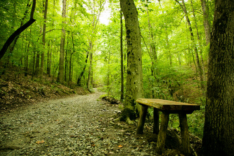 CaryKanoyPhoto Boones Cave Walking Trail 2 768x512