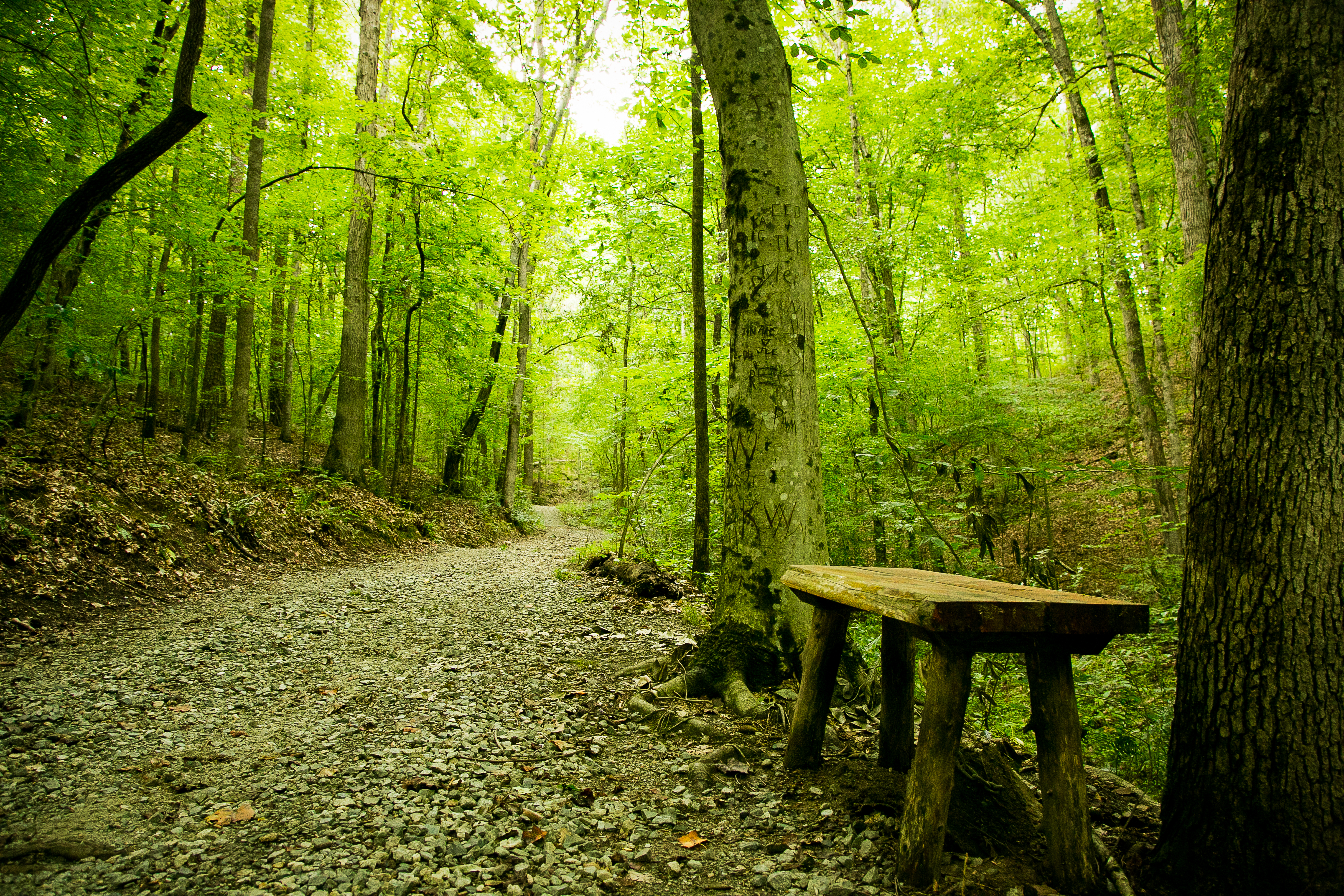 CaryKanoyPhoto Boones Cave Walking Trail 2
