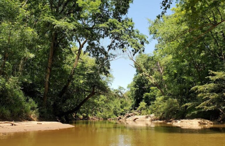 GreatAlamanceCreek 768x501