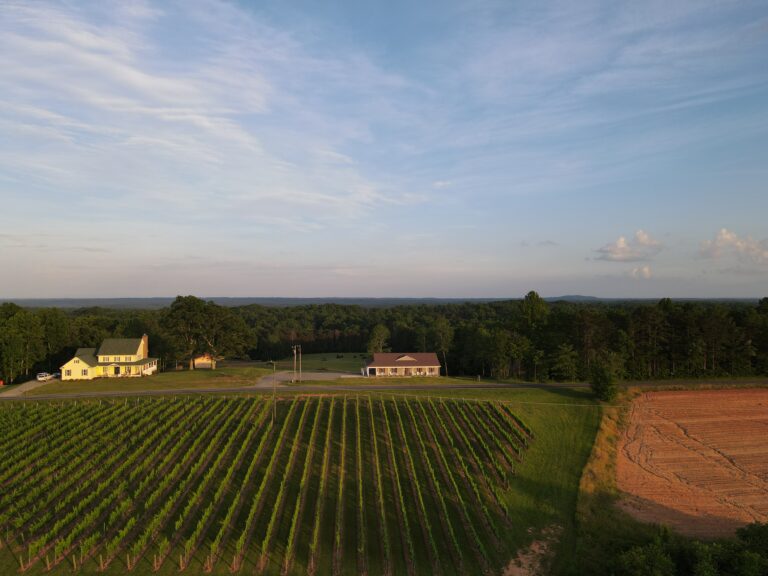 Haze Gray Vineyard 768x576