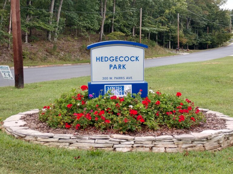 Hedgecock park 3 768x576