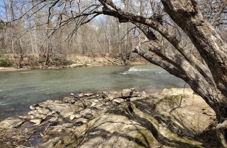 Ivy Bluff Trail 768x501