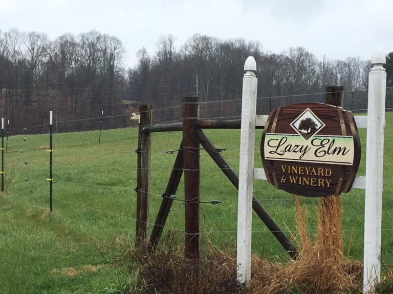 LazyElmVineyards 1 768x576