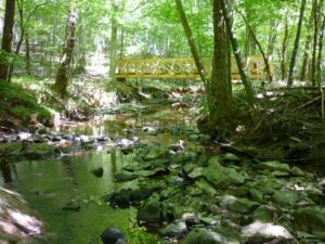 Shallow Ford Natural Area - NC Triad Outdoors
