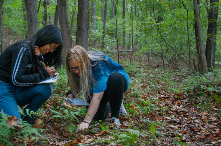 StudentsatKnightBrown 768x510