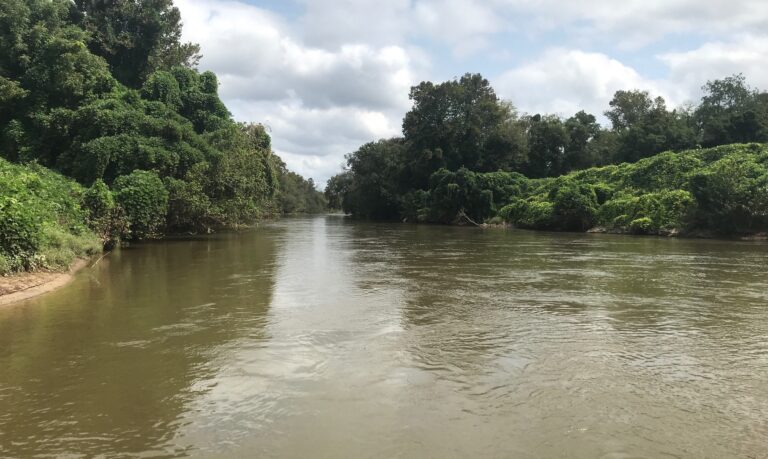 Water View 1 768x459