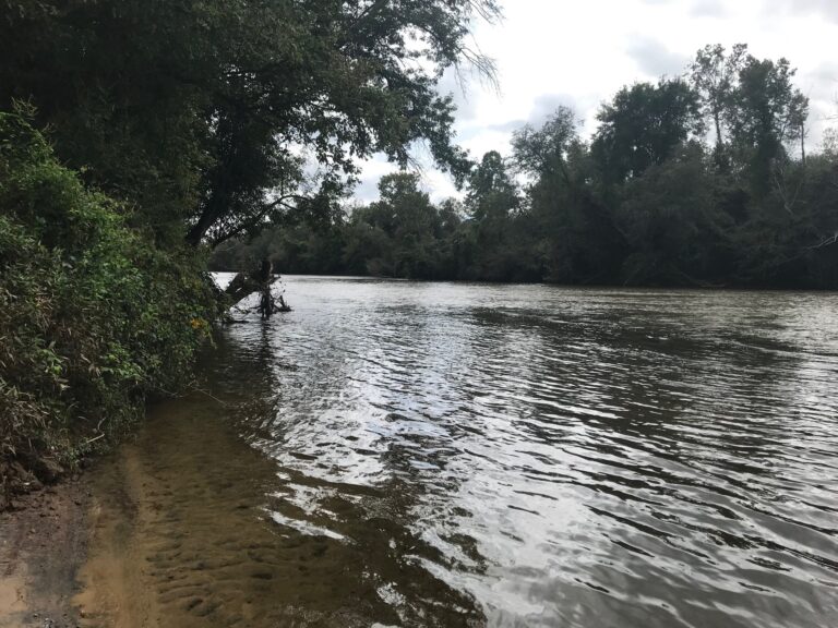 Water View 2 768x576