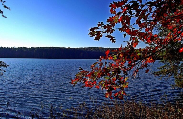 badin cove boat ramp 768x501