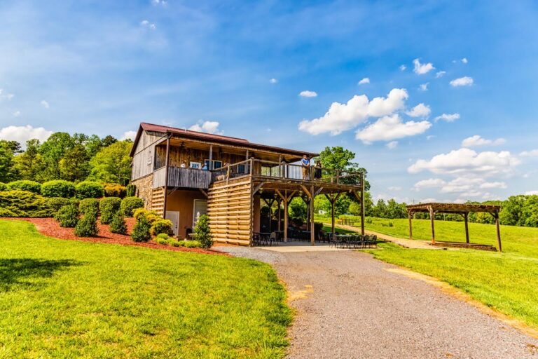 brandon hills vineyard 768x512