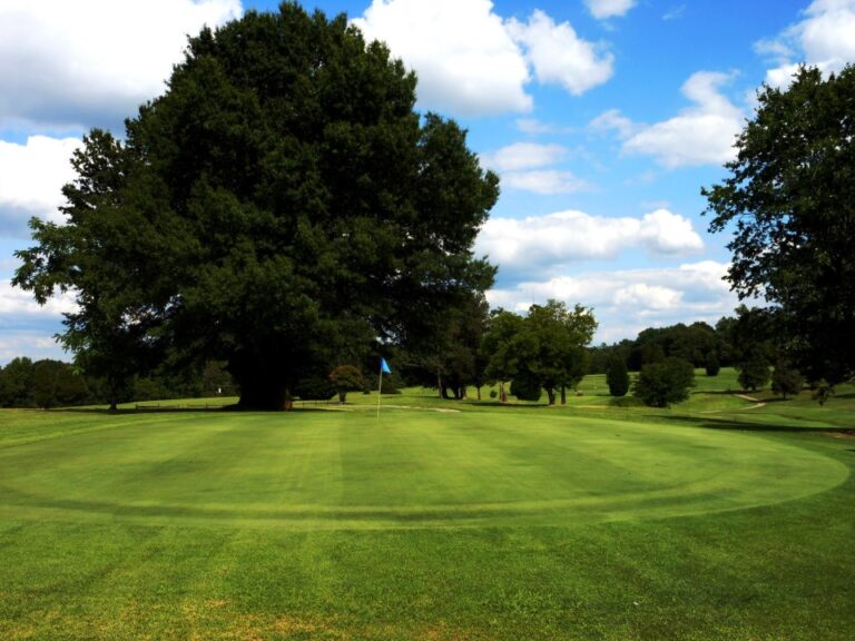 brookwood golf 768x576