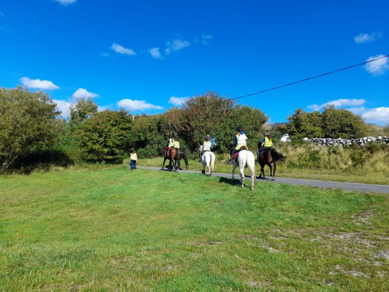 chestnut hill stables 768x576