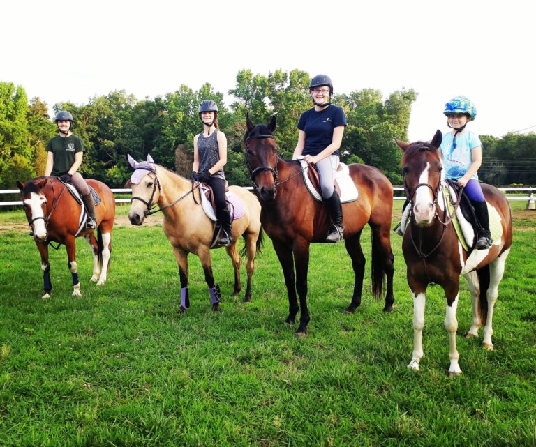 fox den farms 768x641