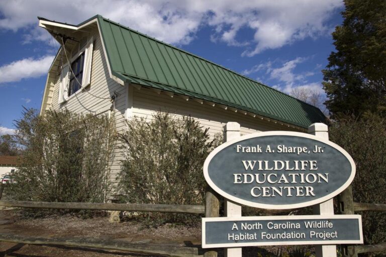 frank sharpe 768x512