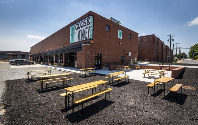 goose and monkey 768x485