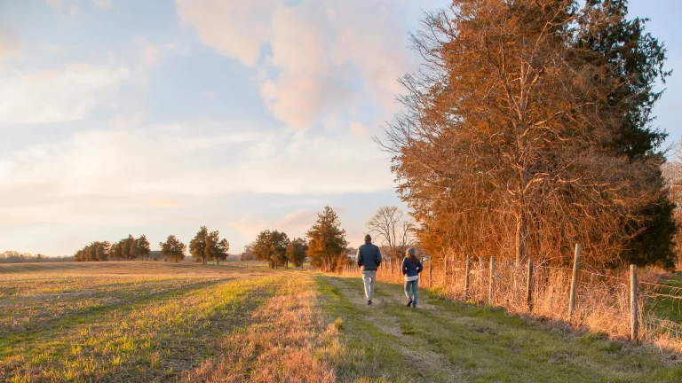 guilford county farm 768x432