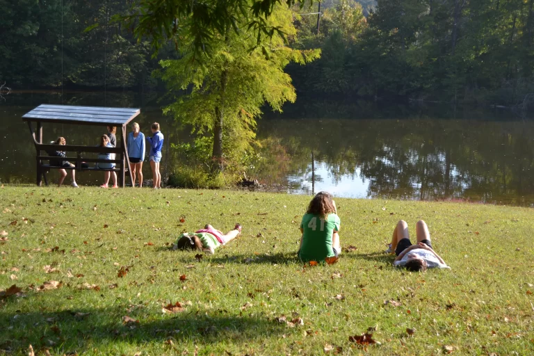 hagan stone 2 768x512