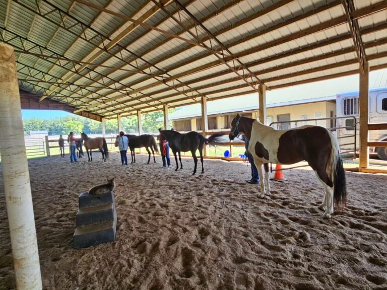 heritage farm lexington 768x576