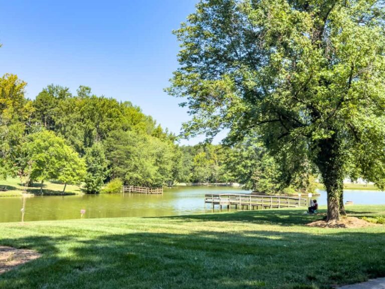 hester park 3 768x576